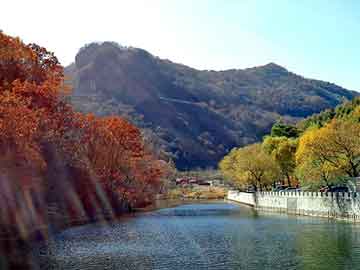 正新澳门二四六天天彩，芳烃报价